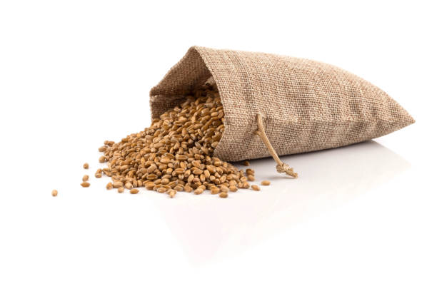 Your Expert Guide to Procuring Top-Tier Grain: Top 10 Grain Suppliers in Spain in July 2025