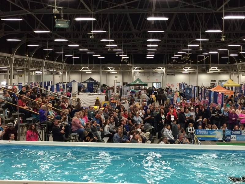 Why Attend Great Iowa Pet Expo? B2B Intro - 2