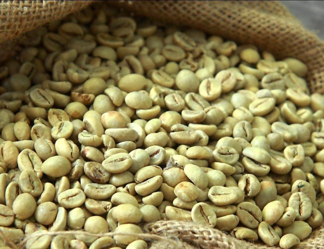 Coffee & Coffee Bean