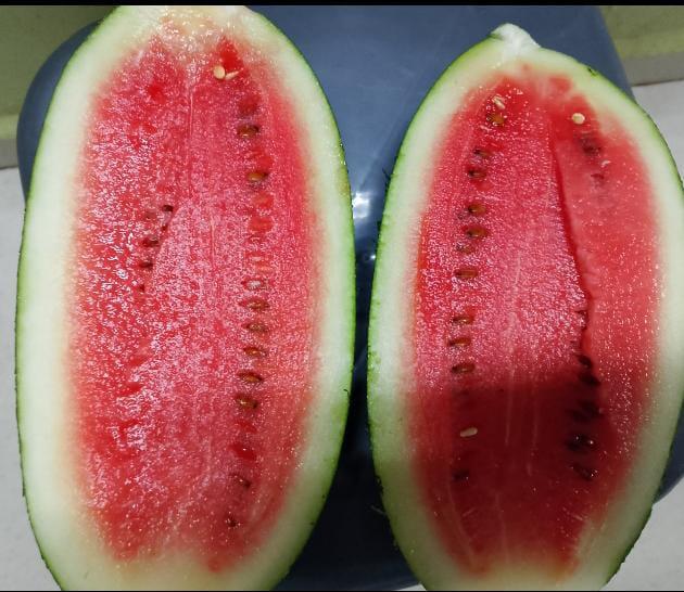 Fresh Fruits