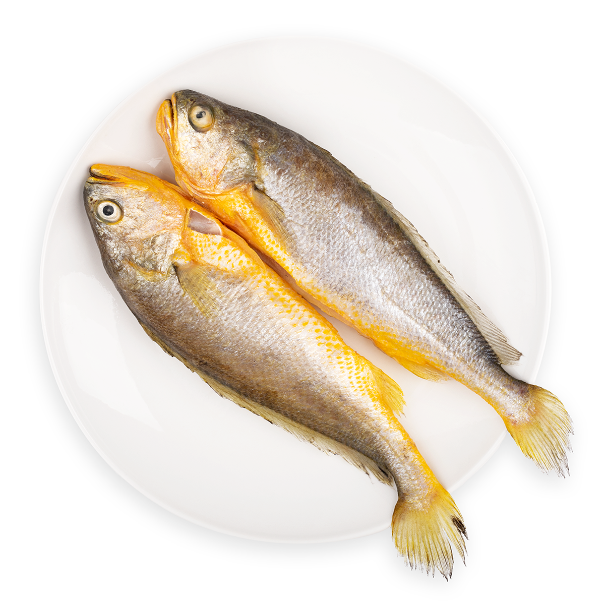 Authentic Frozen Yellow Croaker Fish Freshly Frozen Premium Wild Seafood for Hotels Restaurants and Food Service