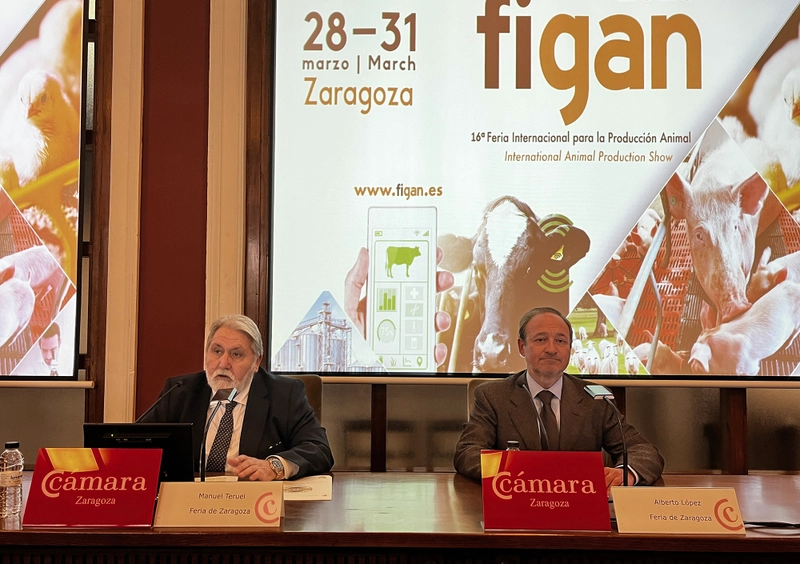 Inside Figan : B2B Key Insights - 1