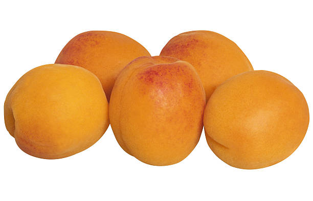 Top 3 Apricot Suppliers in Spain in Quarter 3 of 2025: Market Trends, Challenges, and Sourcing Guide