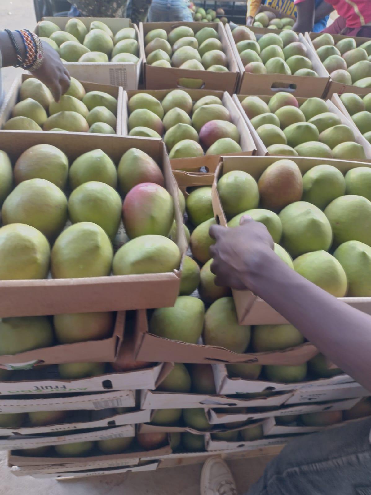 Fresh mango Texture Crisp Salt 0g Per 100g Fat 0.4g Per 100g Color Rich Orange Grade Export grade Fiber 1.6g Per 100g Place of Origin Kenya