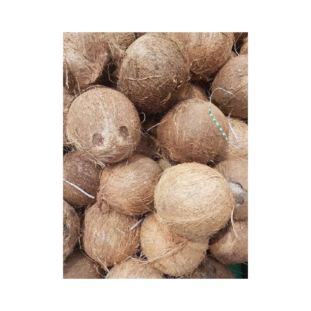 High quality coconut milk powder coconut fruit extract coconut