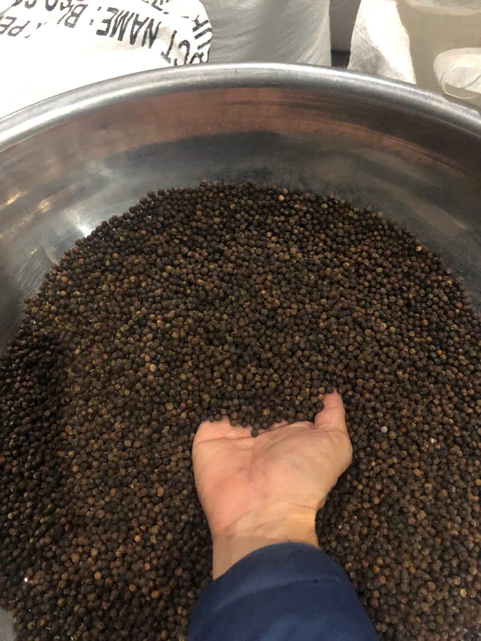 Export Quality Wholesale Black Pepper, Naturally Dried and Professionally Processed from Superior Peppercorns for Maximum Purity, Bold Taste, Rich Essential Oils, and Long-Term Freshness, Perfect for Seasoning, Food Processing, Spice Manufacturing, Commercial Kitchens, and Worldwide Bulk Supply