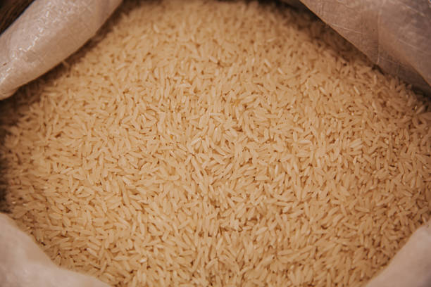 A Comprehensive Guide to Sourcing High-Quality Rice: Top 8 Rice Suppliers in Egypt in Year 2025