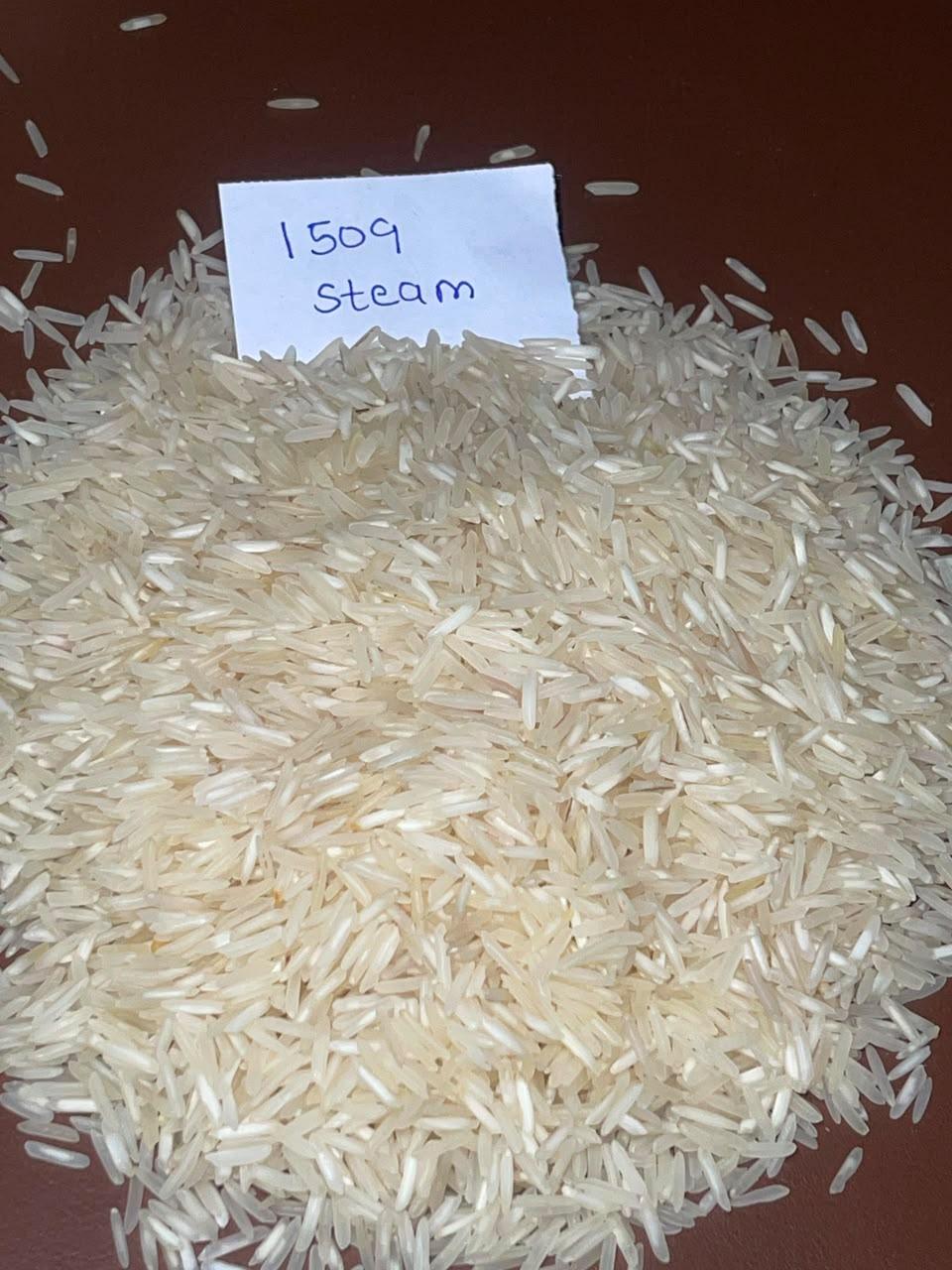 1509 STEAM BASMATI RICE 100% INDIAN ORIGIN