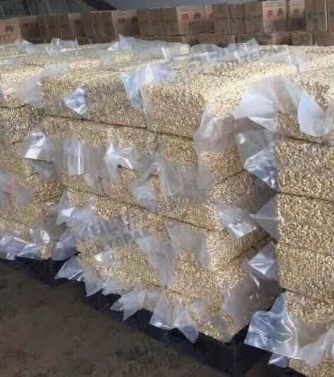 Export Quality Cashews