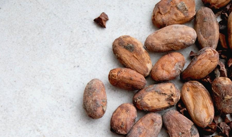 Dried Cocoa Beans/ Cacao/ Chocolate Bean Type