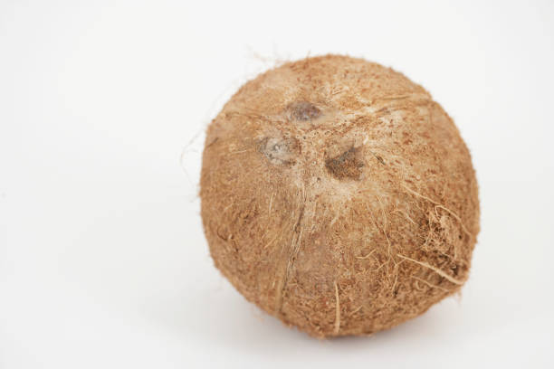 Top 8 Fresh Coconut Suppliers in Indonesia in Year 2025: Urgent Market Update