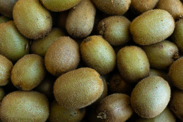 A Comprehensive Guide to Sourcing High-Quality Kiwi: Top 3 Kiwi Suppliers in Italy in Quarter 3 of 2025