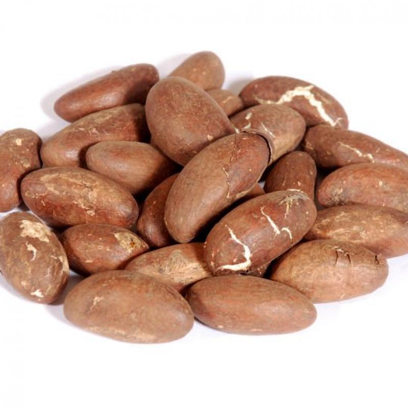 Bitter Kola Raw