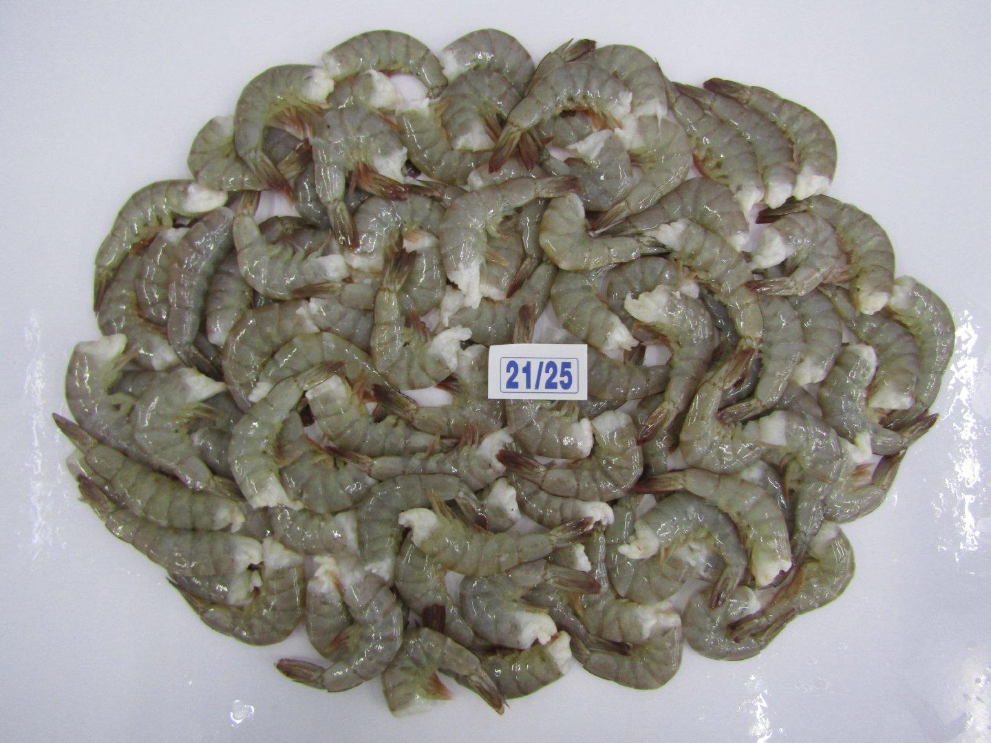 Frozen Seafood