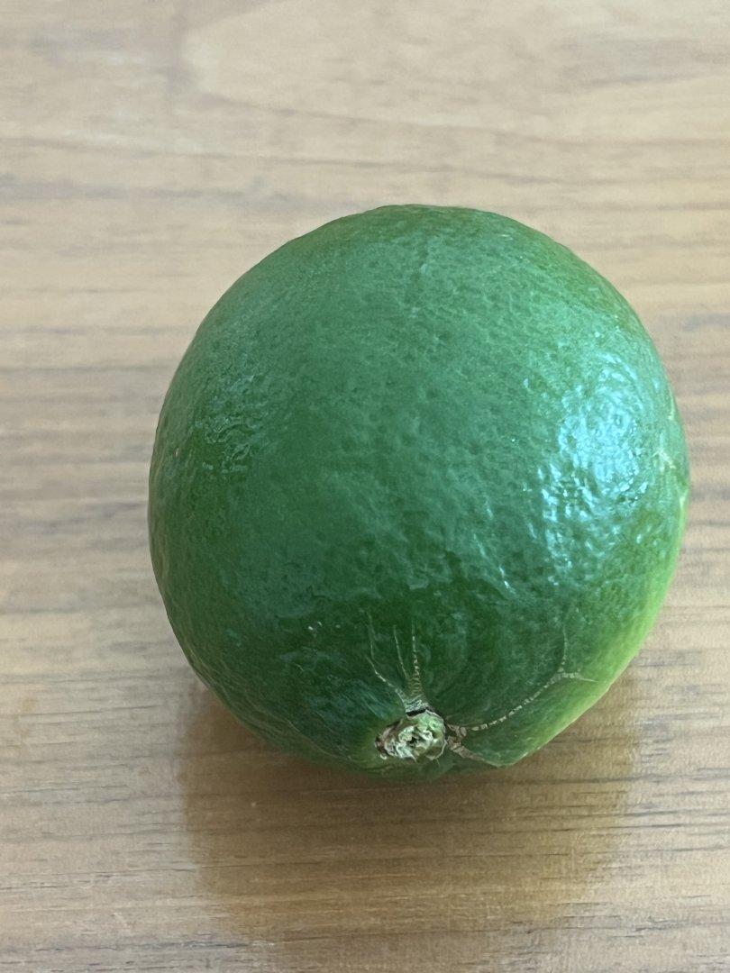 Persian lime 