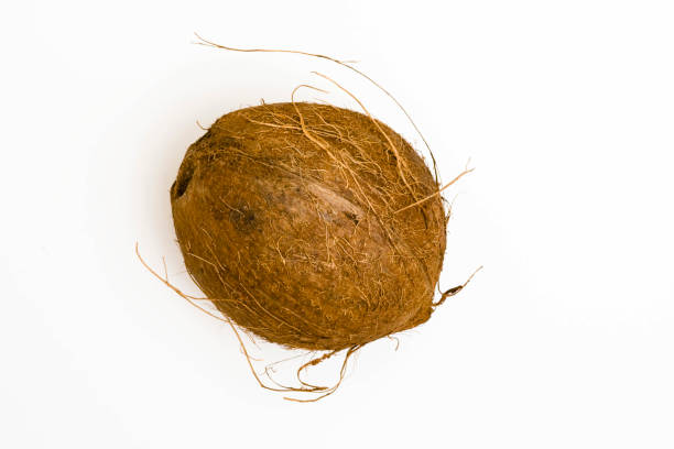 Coconut in Crisis? Top 7 Coconut Suppliers in Ukraine in Quarter 3 of 2025