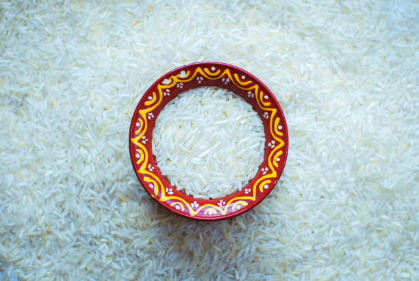 Your Expert Guide to Procuring Top-Tier Basmati Rice: Top 4 Basmati Rice Suppliers in South Africa in Quarter 3 of 2025