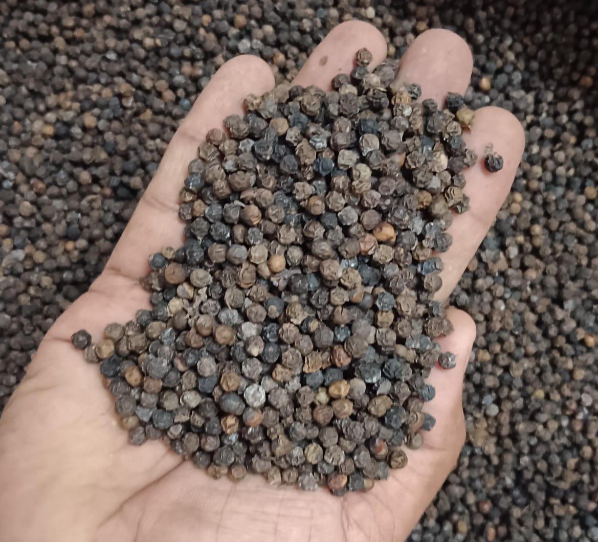 Top 8 Pepper suppliers in India: Capabilities & Buyer Fit - 9