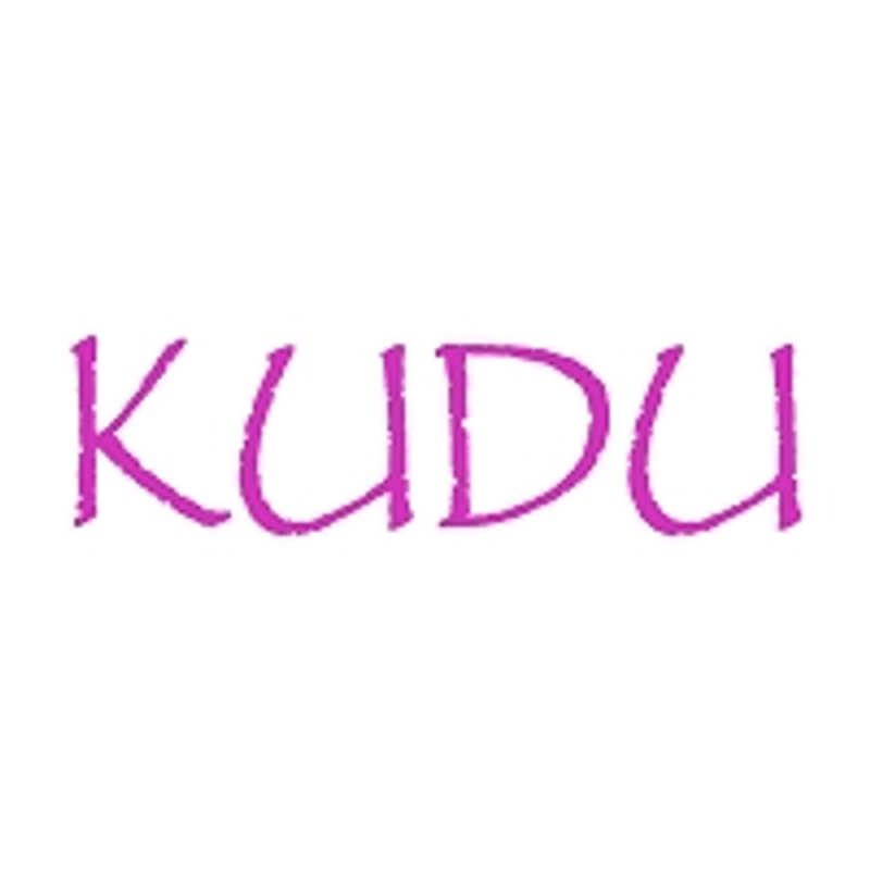 Inside KUDU: B2B Key Insights