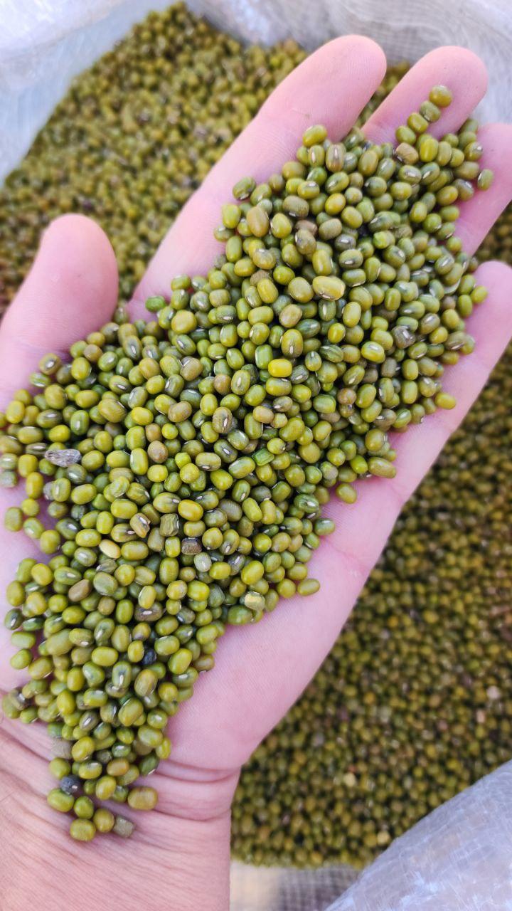 Green Mung Beans