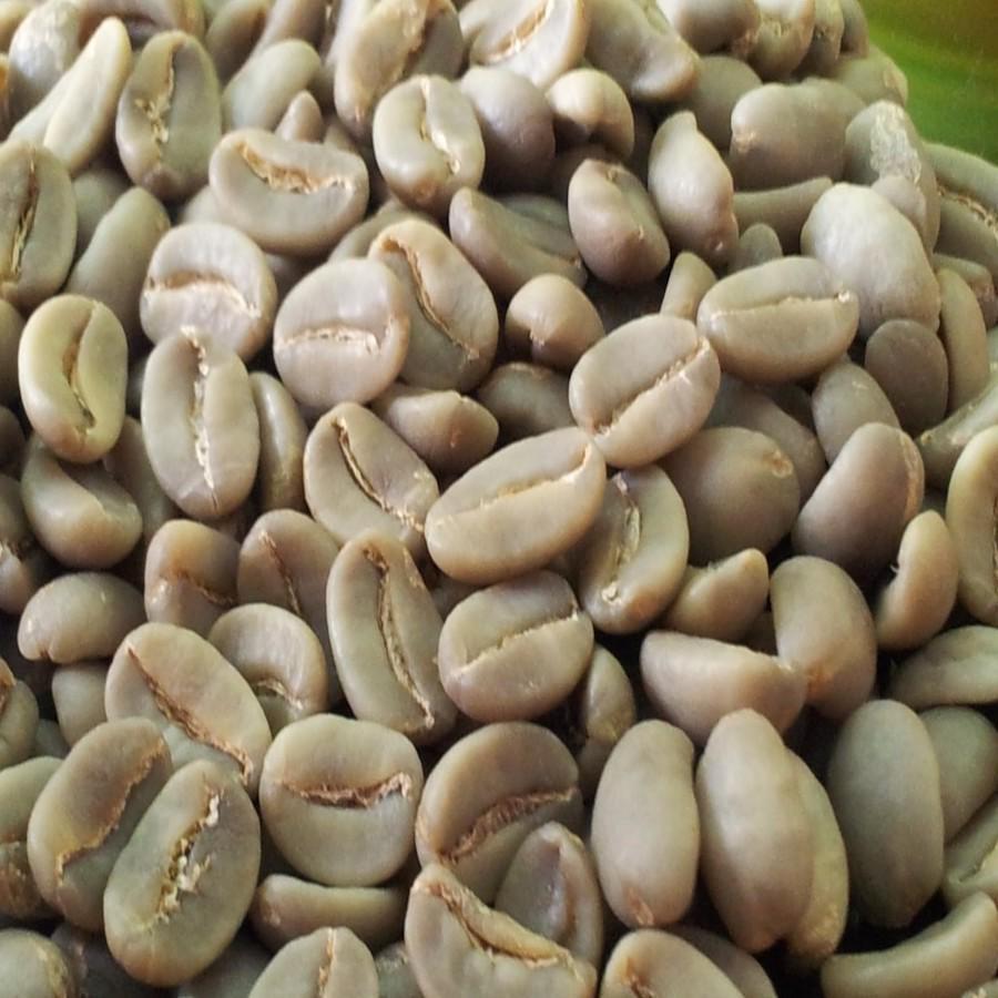 PREMIUM UNROASTED GREEN ARABICA COLUMBIAN COFFEE BEANS 25Kg,60Kg BAGS ON SALE/RICH AROMATIC PROFILE WASHED GREEN ARABICA COFFEE BEANS EU SUPPLY – product thumbnail, market insight supplier card