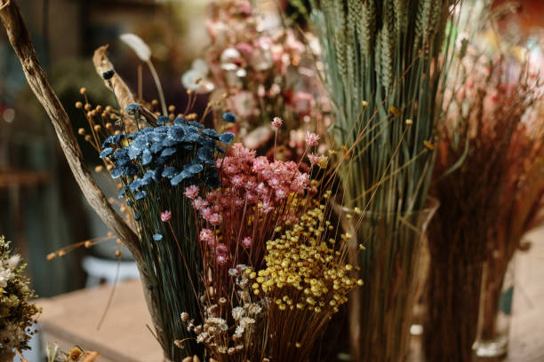 A Comprehensive Guide to Sourcing High-Quality Dried Flowers: Top 5 Dried Flowers Suppliers in United Kingdom in May 2025