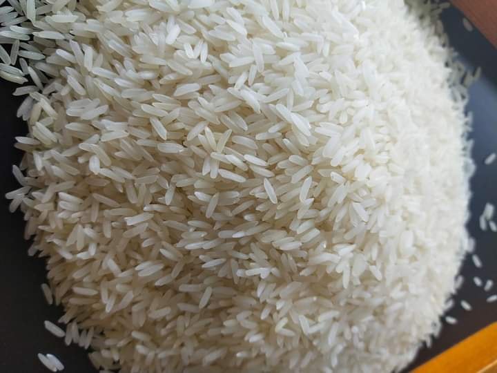 Rice