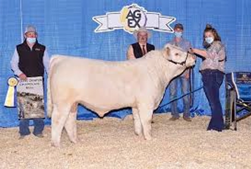 Why Manitoba AG EX Matters for B2B - 3