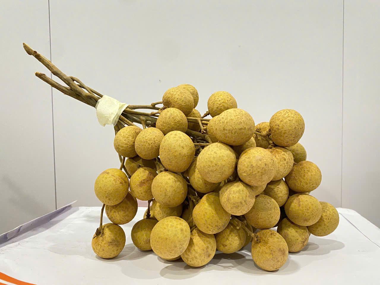 Fresh Longan IDO