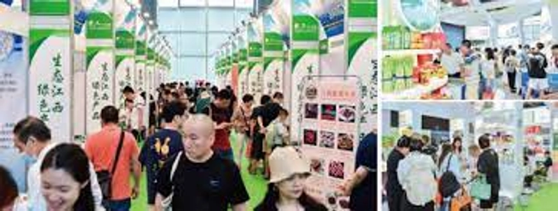 Discover IFE CHINA - WORLD ECOLOGICAL EXPO: B2B Event Guide - 2