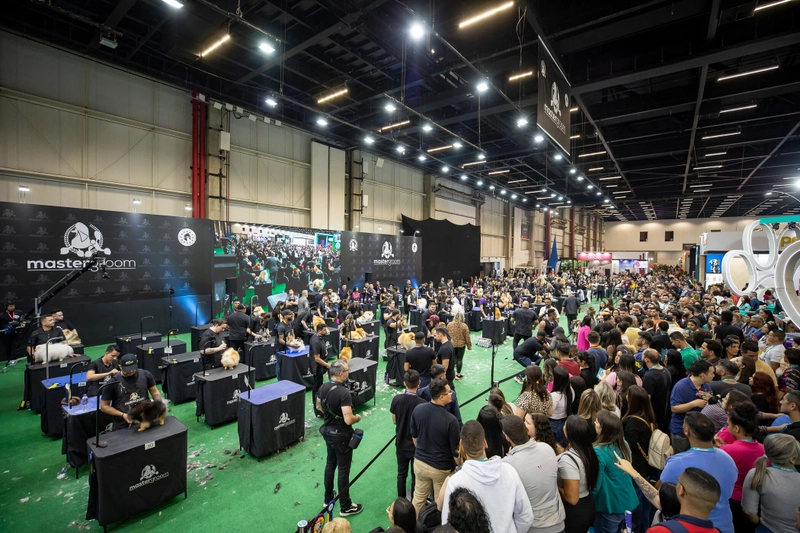 PET SOUTH AMERICA Spotlight: B2B Essentials - 1