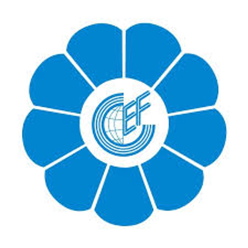 Inside East China Fair: B2B Key Insights