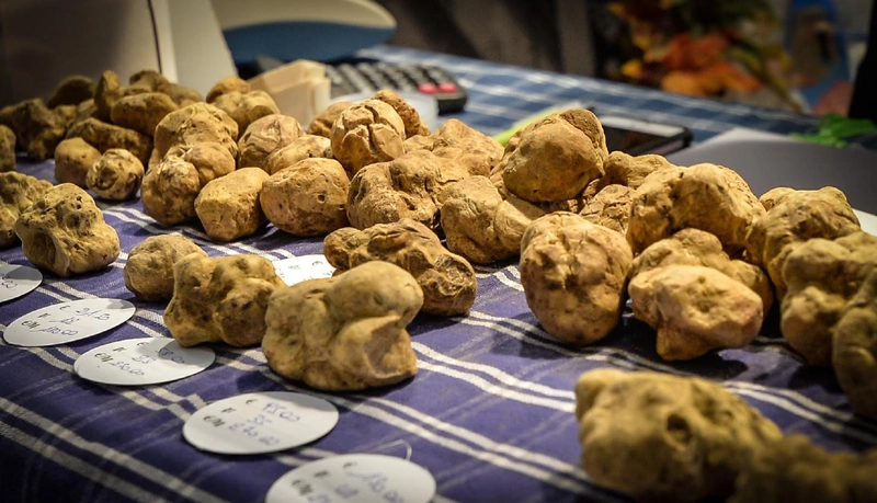 Unlock FIERA INTERNAZIONALE DEL TARTUFO BIANCO D'ALBA: Must-Know B2B Event - 2