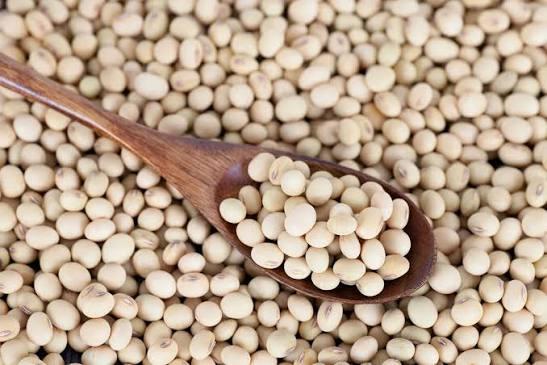 Discover the Top 5 Soybean suppliers in Thailand - 6
