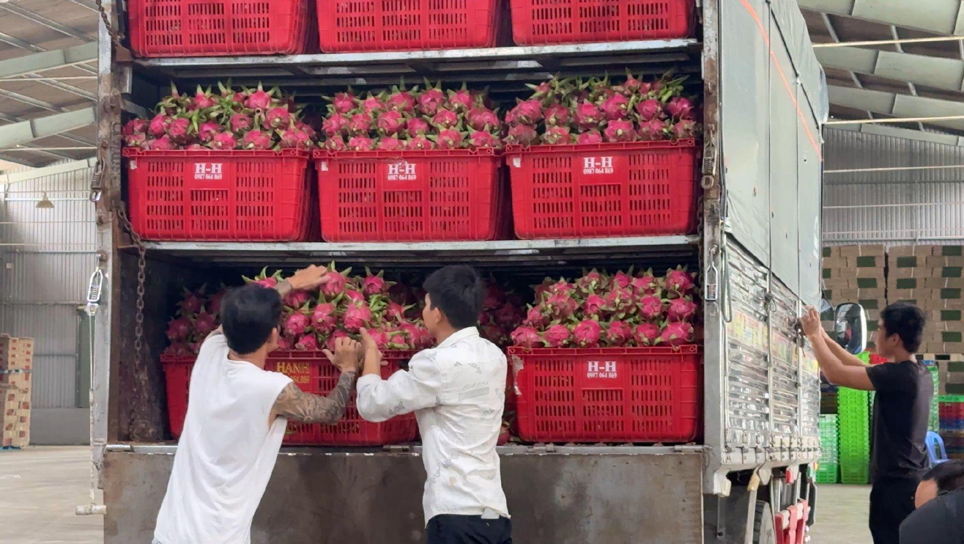 Top 3 Fresh Vegetables suppliers in Vietnam: Capabilities & Buyer Fit - 3