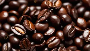 Vietnamese Robusta Coffee Beans