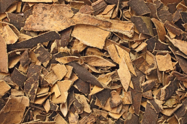 Top 10 Cassia Suppliers in Poland in Year 2025