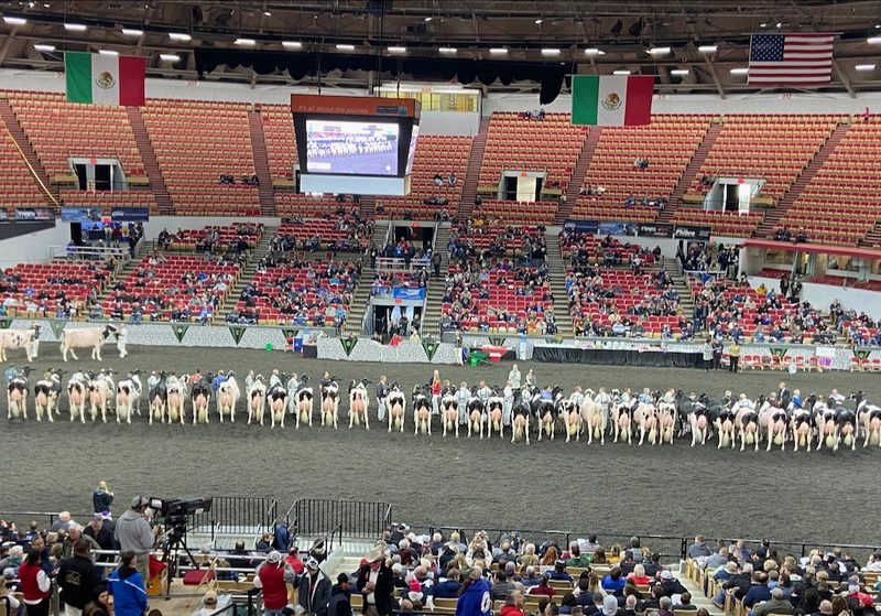 World Dairy Expo Spotlight: B2B Essentials - 1