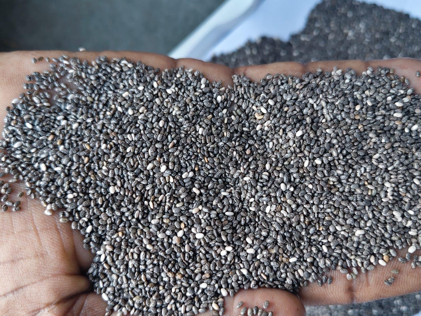 Chia Seed
