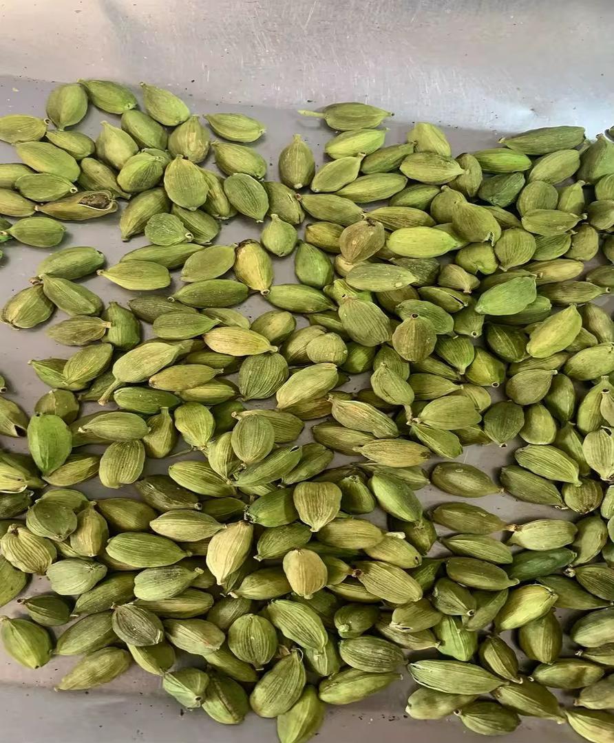 High Quality Wholesale Green Cardamom Supplier – Export Grade Handpicked Green Elaichi Pods with Intense Aroma, Rich Essential Oils, Natural Flavor, Food Grade Purity, Long Lasting Freshness for Culinary, Beverage, Medicinal and Industrial Applications Worldwide