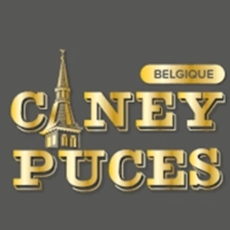 Discover Ciney Puces & Antiquités: B2B Event Guide