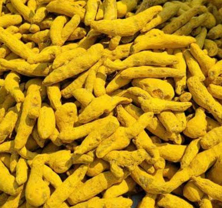 Turmeric fingers
