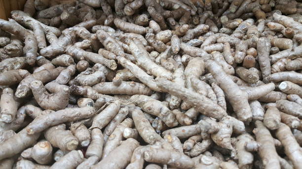 Top 9 Turmeric Suppliers in Austria in August 2025: Navigating the Changing Market Landscape