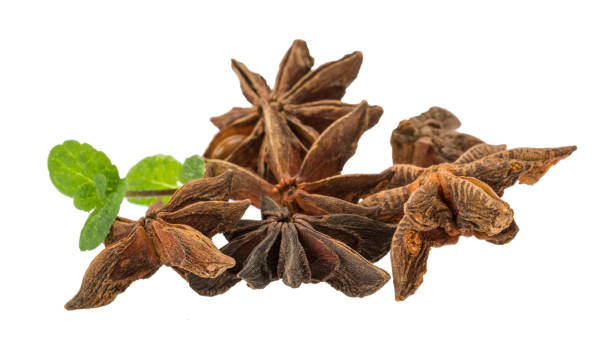 Top 10 Star Anise Suppliers in France in Year 2025: Market Trends, Challenges & Strategic Insights