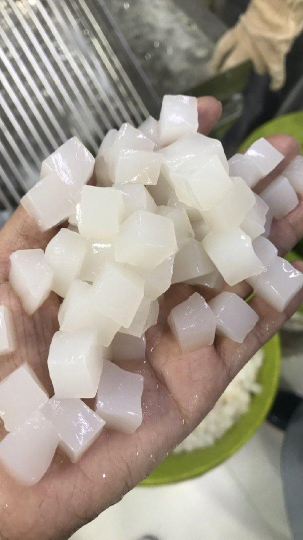 Raw Nata de Coco Pressed 1