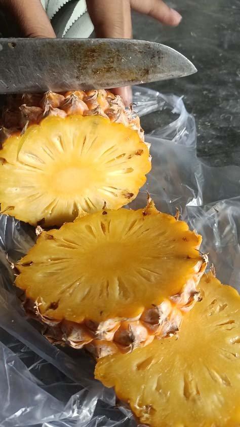 Fresh Pineapple 1