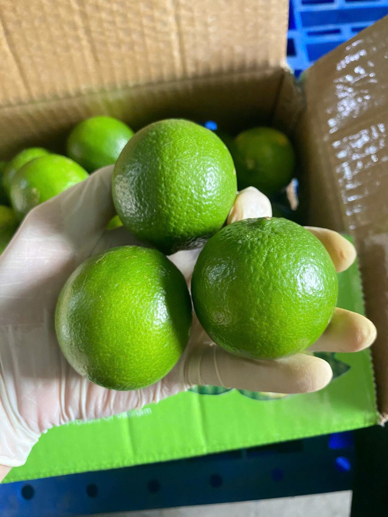 FRESH FRUITS LEMON Grade AA Shelf Life 6 MONTHS Max. Moisture (%) 13 Skin Texture Firm, Smooth Aroma Characteristic Citrus Aroma