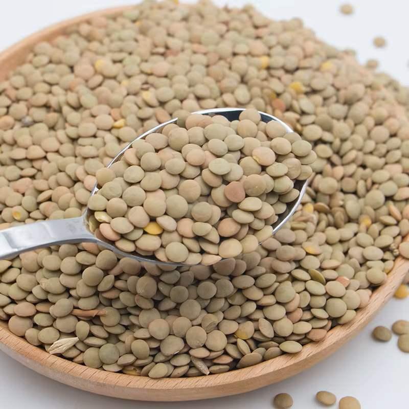 Green Lentils/ Red Lentils /yellow Lentils for Export