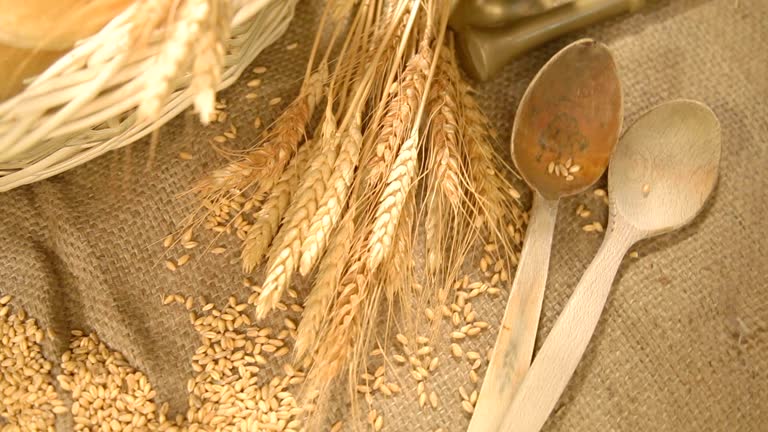 Top 6 Wheat Suppliers in Austria in Year 2025: Navigating a Shifting Market