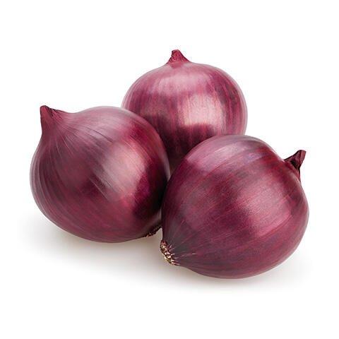 Vegetable packing fresh red/yellow/white/brown onions for Export high quality price